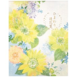 すぱるん♬ Nymphea パウダー紙箱 5個セット　新品　希少 ナカバヤシ ハルマー／バインダー式アルバム／L判3段｜A-HR3Y