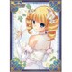 NEXTON ガールズスリーブコレクション Vol.069 真・恋姫英雄譚 華琳A [トレーディングカード用品]