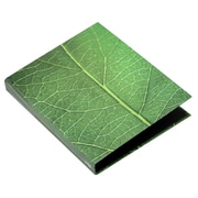 A4 2Hファイル GREEN No2 GRN-02-02
