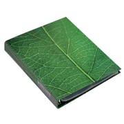 A4葉書ファイル GREEN No2 GRN-20-02
