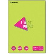 カラーペーパー 中厚口 みどり A4 100枚パック ナ-3209
