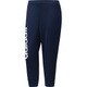 DMW51-BR1241-J/L [W TEAM ボーダーライトジャージパンツ レディース トレーニングウェア J/Lサイズ カレッジネイビー]