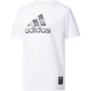 DJG41-BR5644-J140 [キッズビッグロゴTシャツ ジュニア 野球・ソフトボール用ウェア 140cm ホワイト]