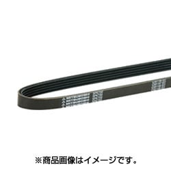 4PK1165 [リブスターベルト]