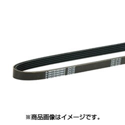 4PK835L [リブスターベルト]