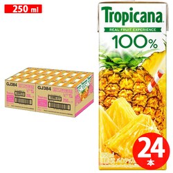 トロピカーナ 100％ パインアップル パックジュース 250mL [24本]