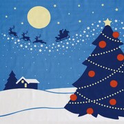 四季彩布 二四巾風呂敷 クリスマス [ふろしき]