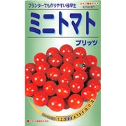 KS100シリーズ（野菜） No.571 ミニトマト プリッツ