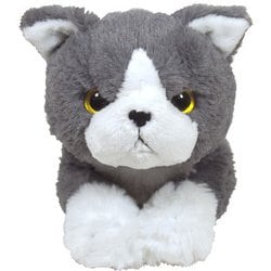サンレモン　ひざねこ　エキゾチック　２種セット 楽天市場】ひざねこ ぬいぐるみ ぬいぐるみS エキゾチック