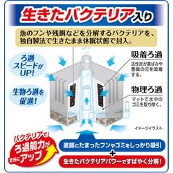 ヨドバシ Com Gex ジェックス ロカボーイ バクテリアパワー S 通販 全品無料配達 ヨドバシ Com Gex ジェックス ロカボーイ バクテリアパワー S 通販 全品無料配達