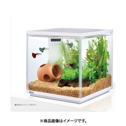 ヨドバシ Com Gex ジェックス サイレントフィットキューブ250 水槽セット 通販 全品無料配達