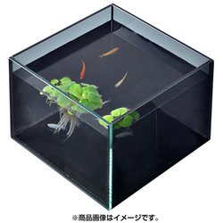 ヨドバシ Com Gex ジェックス グラステリア メダカ 上見 水槽 通販 全品無料配達