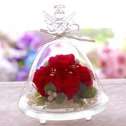プリザーブドフラワーギフト ガラスドームエンジェルプレミアム レッド