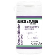 ワカサプリ 金時草＆乳酸菌 [90粒]