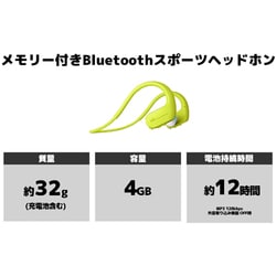 SONY ポータブルメモリー内蔵Bluetoothウォークマン NW-WS625