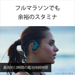 ヨドバシ.com - ソニー SONY NW-WS623 G [メモリーオーディオ WALKMAN