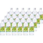熱中対策ソーダ グレープフルーツ味 500ml×24