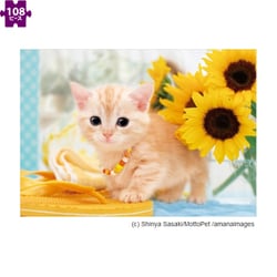 01-057 ねこのなつやすみ [ジグソーパズル 108ピース （完成サイズ：18.2×25.7cm）]