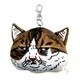世にも不思議な猫世界 パスポーチ みかん [キャラクターグッズ]