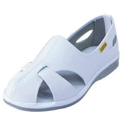 静電作業靴エレパスクール 24.5cm ELEPASSCOOL24.5