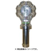 1107081111 [ビューティセンコウトウホンタイノミ]