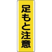 81044 [タンザクガタヒョウシキアシモトチュウイ]