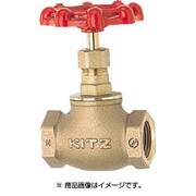 K25A [グローブバルブ 5K#1]