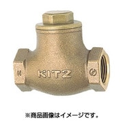 R10A [スイングチャッキバルブ 125型42802]
