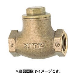 R15A [スイングチャッキバルブ 125型42737]