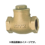 R25A [スイングチャッキバルブ 125型#1]