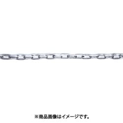 TSCV121 [チューブ保護ステンレスカットチェーン 1.2mm×1m]