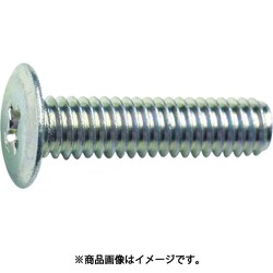 TFSC0530 [超低頭小ねじ 三価クロメート M5×30 6本入]