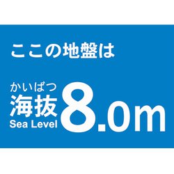 TKBS80 [海抜ステッカー 8.0m]