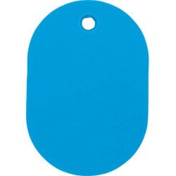 TKFSLB [小判札 小45×30mm 5枚入り 空色]