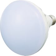 RTL20W [LED投光器用 20W LED球]