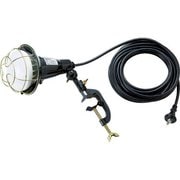 RTL210 [LED投光器20W10m]