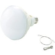 RTL50W [LED投光器用 50W LED球]