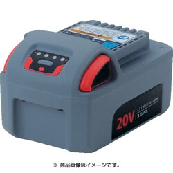 BL2022 [電池パック]