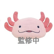 HOLA おら！！ もちっと ！だっこクッション うーぱ