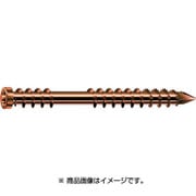 538000550603 [ステンレス低頭ネジ 5.5×60 100本入り]