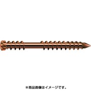 538900550603 [ステンレス低頭ネジ 5.5×60 アンティーク調 100本入り]