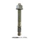 45575 [ボルトアンカー FBN220/80 10本入り]