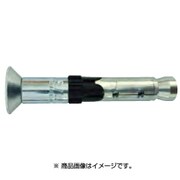 503138 [ボルトアンカー FH210/50SK 50本入り]