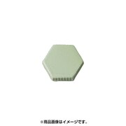 紅牙 テンヤカブラ プラスシンカー 1.5号 夜光