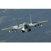 ZV7309 [1/72 エアクラフトシリーズ MiG-29 SMT]