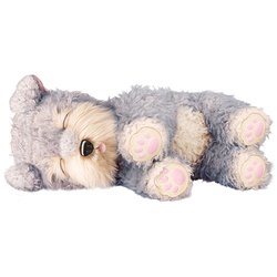 ヨドバシ.com - RANGS JAPAN ラングス ジャパン マイドリーム