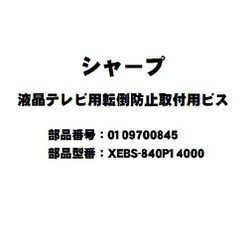 0109700845 [XEBS840P14000 テレビ用転倒防止ビス]