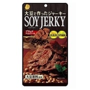 ソイジャーキー [45g]