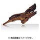 約33.0～42.0cm 流木 大