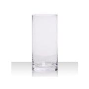 Glass Ware シリンダータイプ [淡水・水草用ガラス容器]